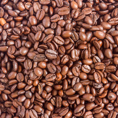 Roasted coffee bean close up