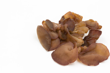 Black Fungus (Jew's Ear Mushroom ) on white background