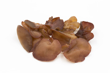 Fototapeta premium Black Fungus (Jew's Ear Mushroom ) on white background