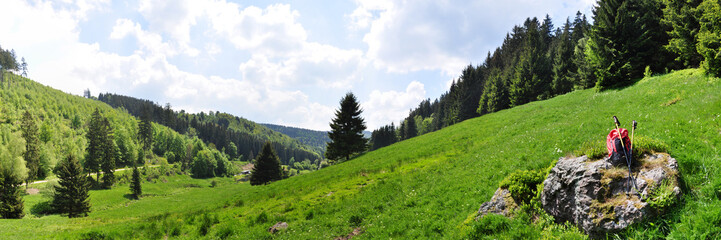 Fototapeta na wymiar Panorama Pochwerksgrund / Thüringer Wald