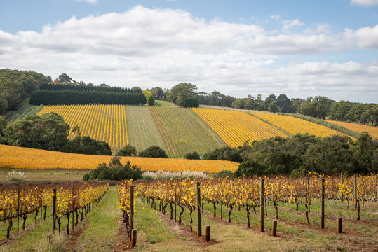 Péninsule de Mornington
