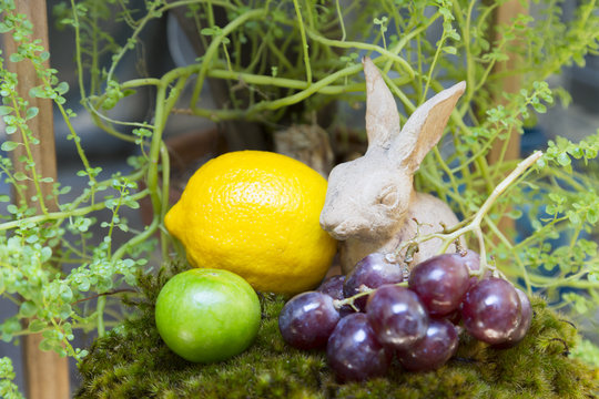 still life of fruit and Rabbit, bird  ceramic plaster round plan