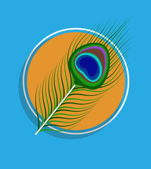 Fototapeta na wymiar Peacock Feather Vector Background