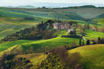 Fields and forests painted Tuscan sunset light