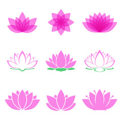 lotus flower set