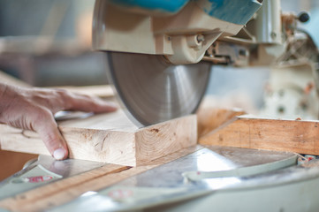 Circular Saw