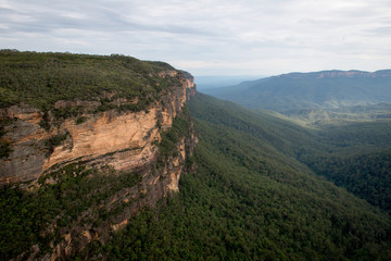 Fototapeta na wymiar Les montagnes Bleues en Nouvelle-Galles