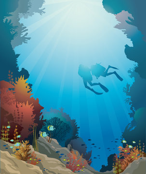 Coral reef, underwater cave and divers.