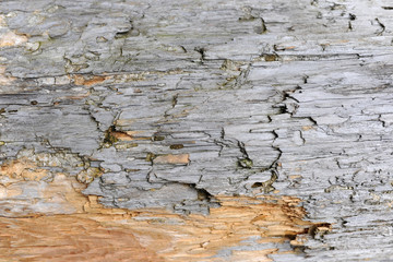 Hintergrund für Textfeld aus verwittertem Holz