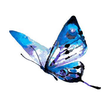 butterflies design