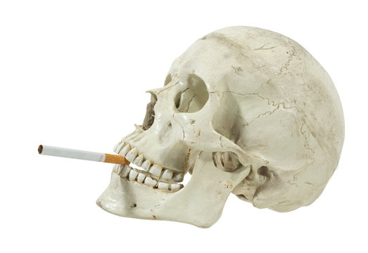 totenkopf, sch&auml;del, totensch&ouml;del