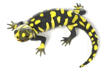 3d render of tiger salamander