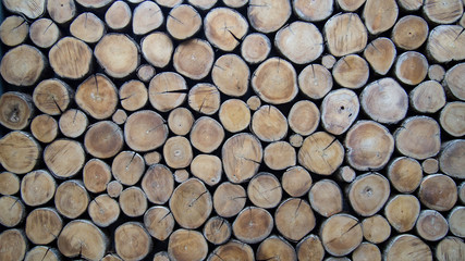 background of wood logs