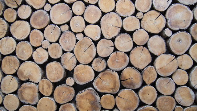 background of wood logs