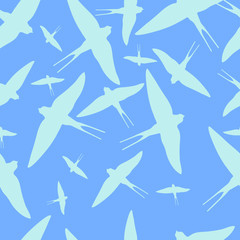 Swallow