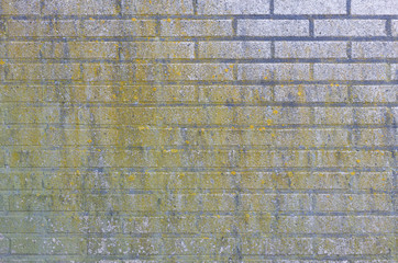 Fototapeta premium Brick wall.