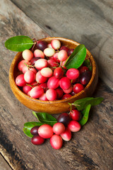 Karanda fruit, Carissa carandas.