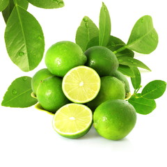 fresh lemon lime citrus fruit with leaves and cutting in white background