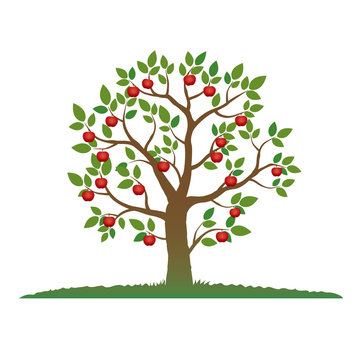 Illustration of Color Tree and Apple.