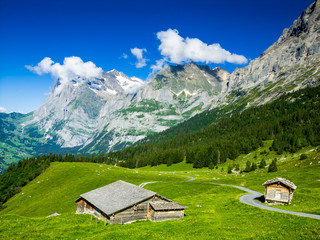 Grindelwald, Switzerland