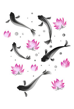 Ink Koi carp illustration. Vector image.