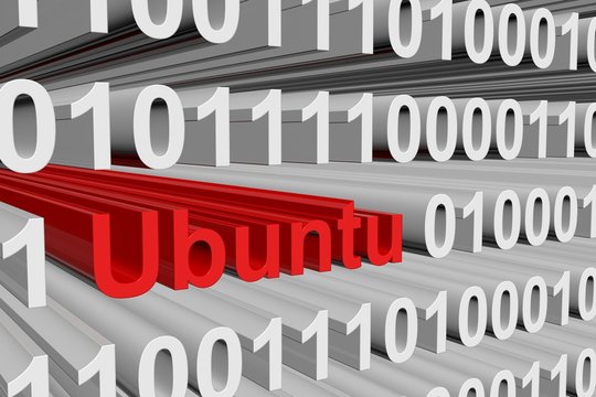 Binary Code Of The Operating System Ubuntu 