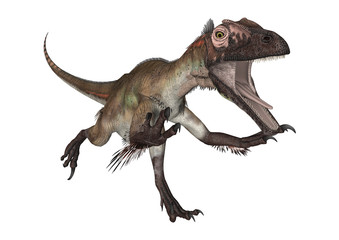 Fototapeta premium Dinosaur Utahraptor