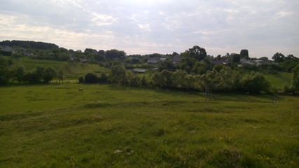 Obraz premium Поле