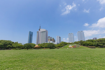 Fototapeta na wymiar 幕張の新緑の公園から高層ビジネスビル街を臨む
