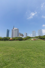 Fototapeta premium 幕張の新緑の公園から高層ビジネスビル街を臨む
