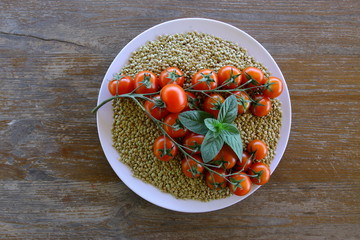 Cieciorka i pomidory © fotodrobik