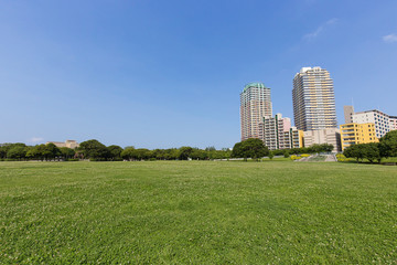 Obraz premium 幕張ベイタウンの高層マンションと新緑の公園