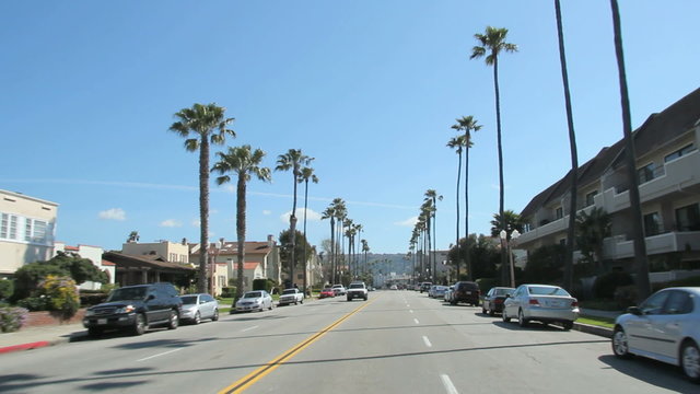 Driving from Redondo beach towards Palos Verdes on a sunny day in Los Angeles, palm trees on both sides of the road