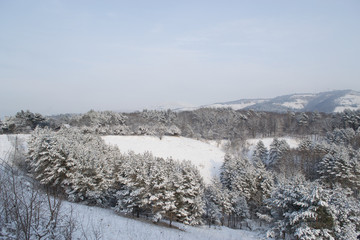 в горах © mibobri