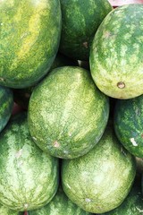 Many big green watermelons for sale