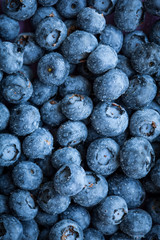 Group of fresh juicy blueberries on stone plate background