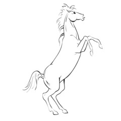 Obraz na płótnie Canvas Vector illustration sketch a horse