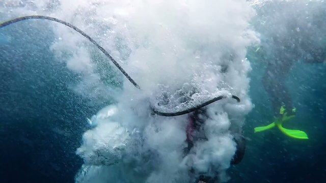 Scuba Diver Jumping into the Blue Ocean