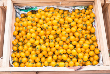Yellow tomatoes