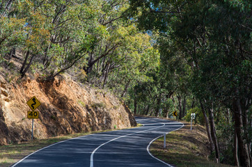 Winding Australian forest road through the Great Dividing Range near Warburton