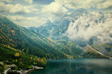 Fototapeta premium landscape 