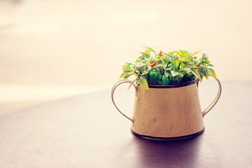 Small tree in pot decor on table. Vintage filter.