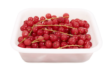 Tiefgefrorene Johannisbeeren in einer Plastikbox