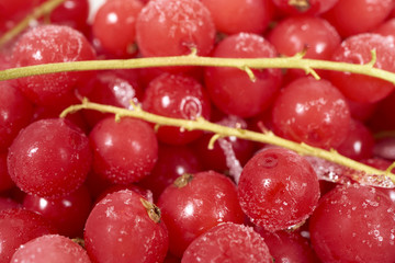 Hintergrund aus tiefgefrorenen Johannisbeeren mit Stielen