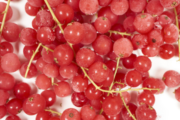 Hintergrund aus tiefgefrorenen Johannisbeeren mit Stielen