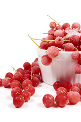 Gefrorene Johannisbeeren mit Stielen in Porzellanschale