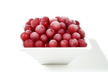 Porzellanschale mit gefrorenen Johannisbeeren