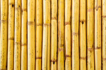 Bamboo texture