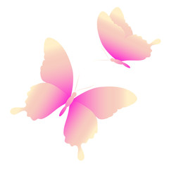 butterflies design