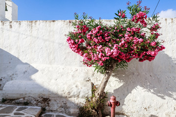 Parikia, Paros island